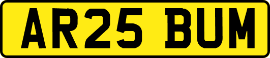 AR25BUM
