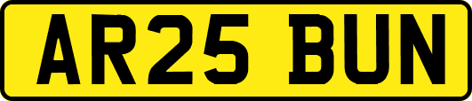 AR25BUN