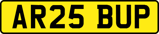 AR25BUP