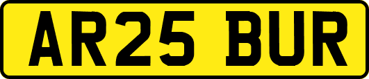 AR25BUR