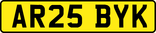 AR25BYK