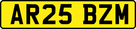 AR25BZM