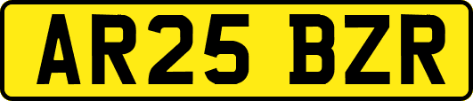 AR25BZR