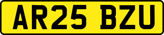 AR25BZU