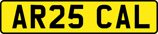 AR25CAL