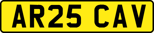 AR25CAV