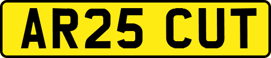 AR25CUT
