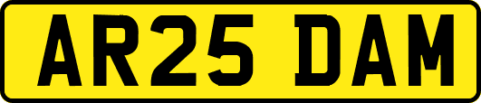AR25DAM