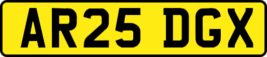 AR25DGX