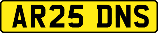 AR25DNS
