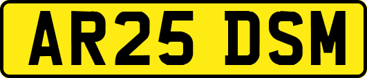 AR25DSM