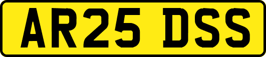 AR25DSS