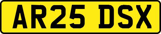 AR25DSX