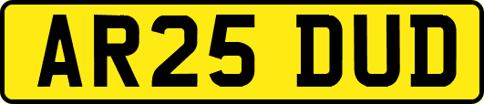 AR25DUD