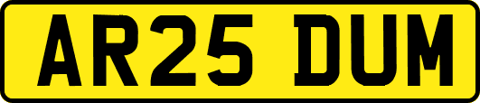 AR25DUM