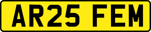 AR25FEM