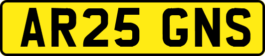 AR25GNS