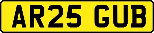 AR25GUB