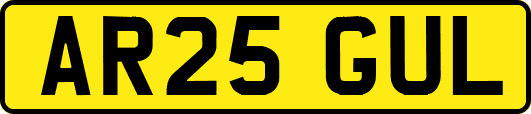 AR25GUL