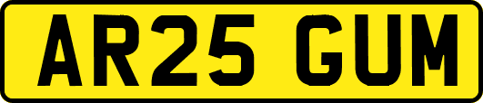 AR25GUM