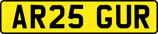 AR25GUR