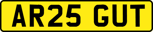 AR25GUT