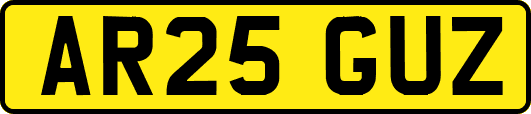AR25GUZ