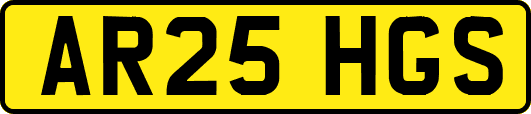 AR25HGS