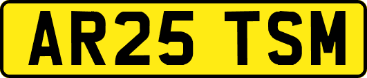 AR25TSM