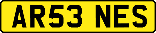 AR53NES