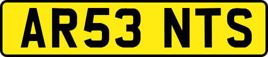AR53NTS