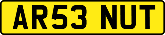 AR53NUT