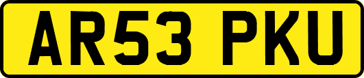 AR53PKU