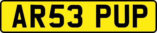 AR53PUP