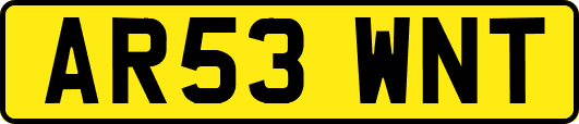 AR53WNT