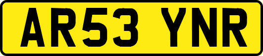 AR53YNR