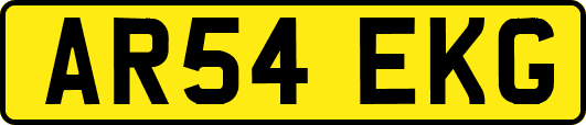AR54EKG