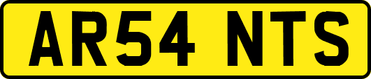 AR54NTS