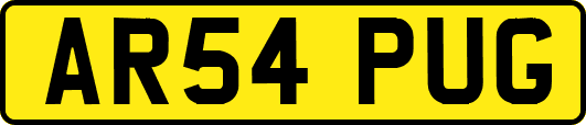 AR54PUG