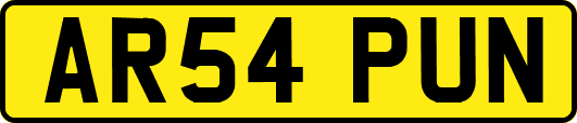 AR54PUN