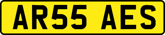 AR55AES