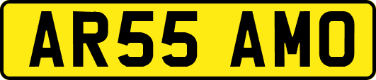 AR55AMO