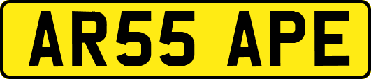 AR55APE