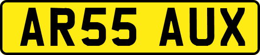 AR55AUX