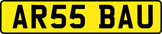 AR55BAU