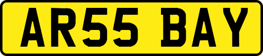 AR55BAY