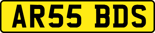 AR55BDS