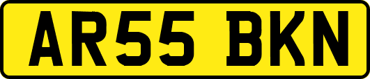 AR55BKN