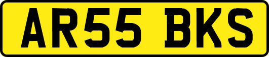 AR55BKS