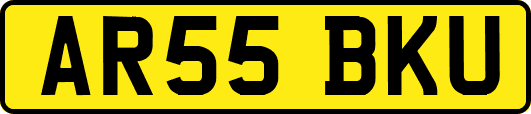 AR55BKU
